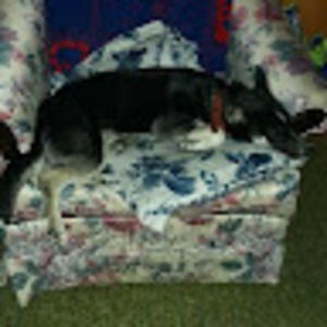 Meet your Posher, Kevin